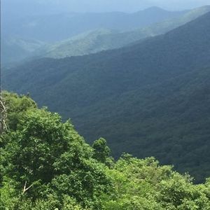 Meet your Posher, Deandre